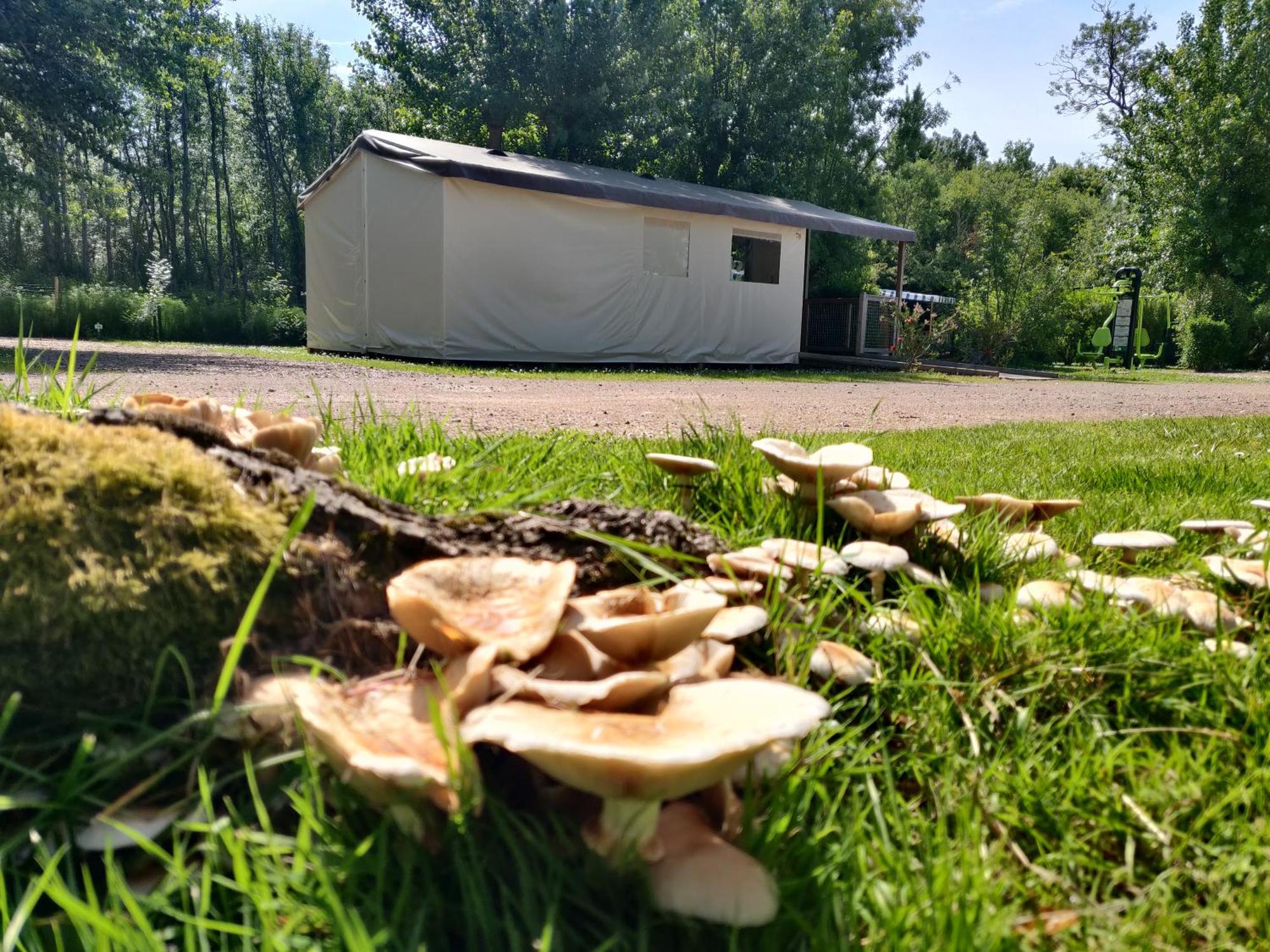 Camping Les Mancellieres Avrillé Eksteriør billede